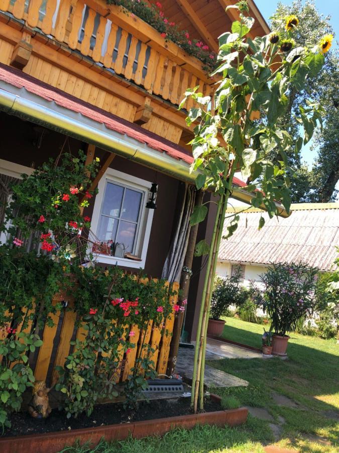 Hero 4 Sterne Ferienhaus Baja Εξωτερικό φωτογραφία